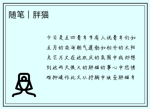 随笔｜胖猫