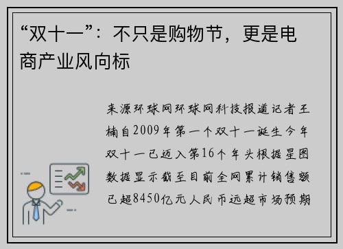 “双十一”：不只是购物节，更是电商产业风向标