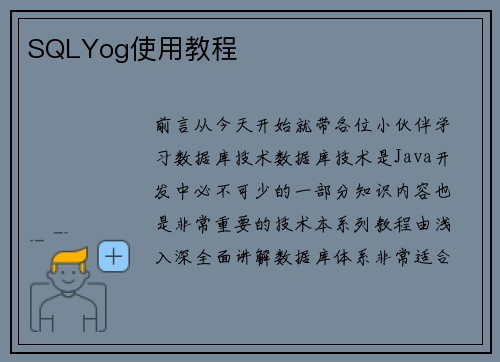 SQLYog使用教程