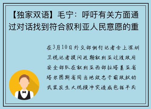 【独家双语】毛宁：呼吁有关方面通过对话找到符合叙利亚人民意愿的重建国家方案