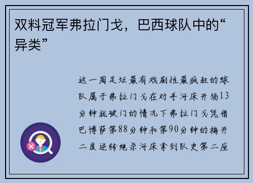 双料冠军弗拉门戈，巴西球队中的“异类”